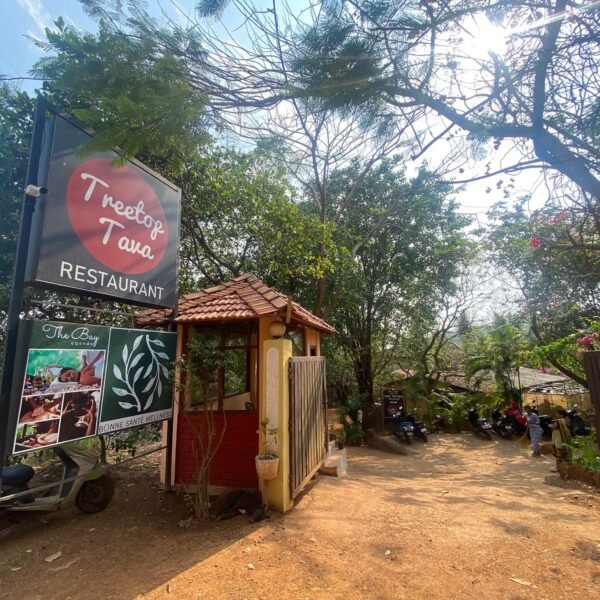 Treetop Tava