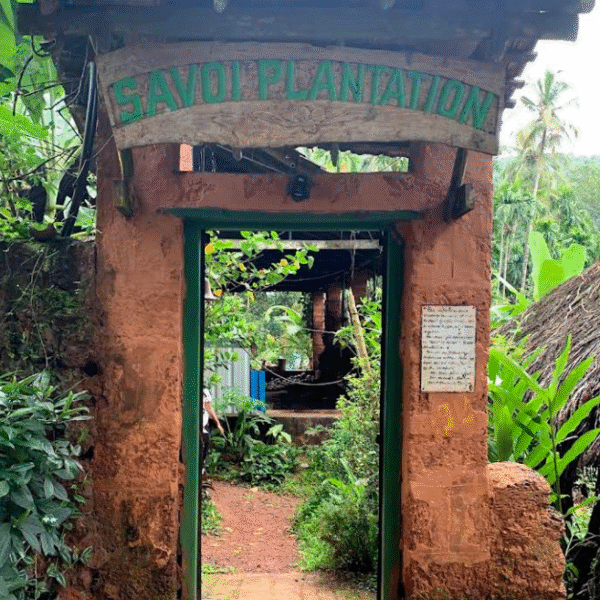 Savoi Plantation